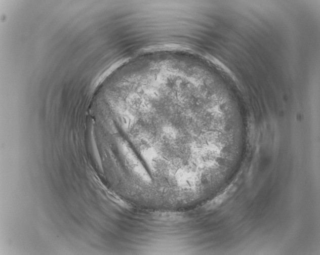 X0000059040921200511041632