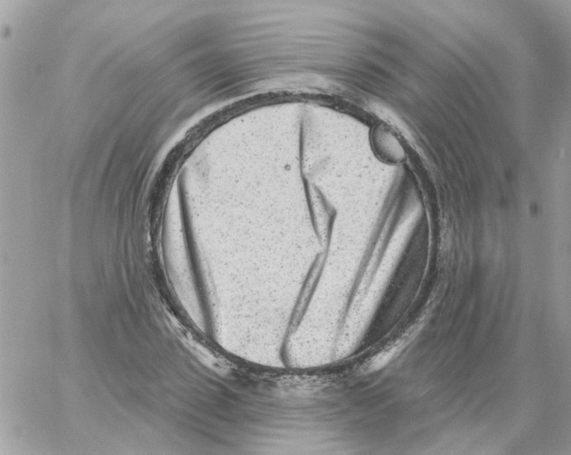 X0000059040923200511041632