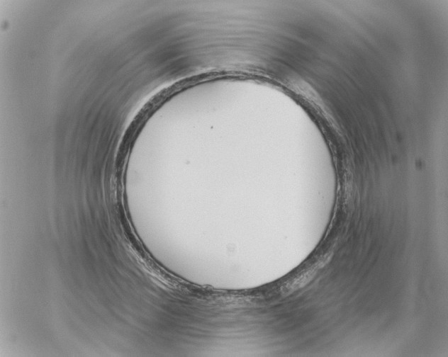 X0000059040924200511041632