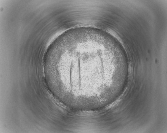 X0000059040925200511041632