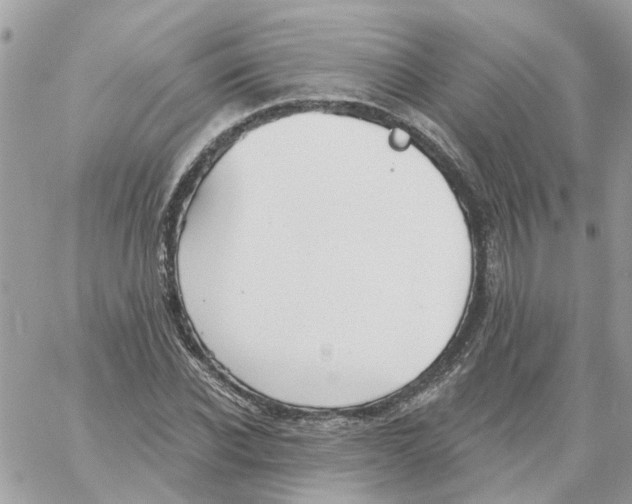 X0000059040926200511041632