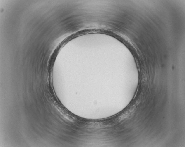 X0000059040927200511041633