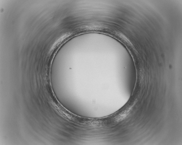 X0000059040930200511041633