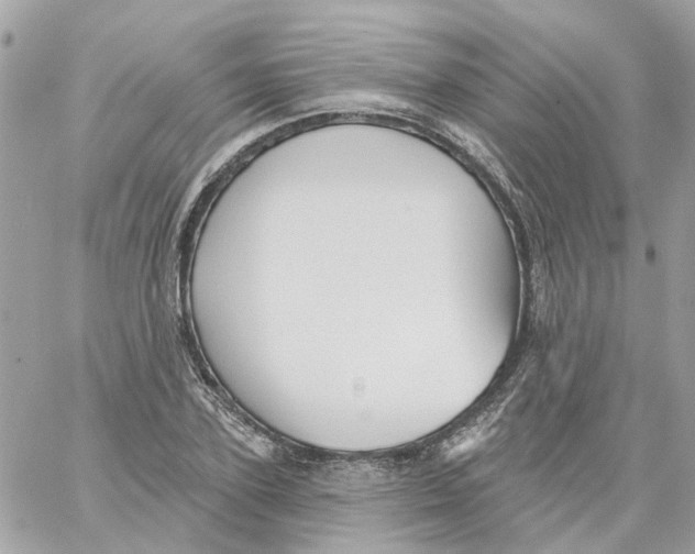 X0000059040931200511041633