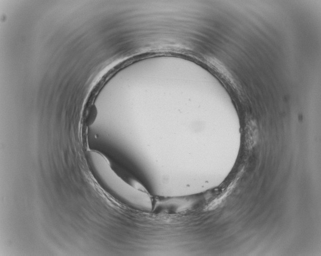 X0000059040932200511041633