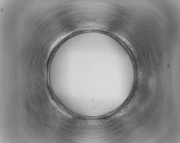 X0000059040933200511041633