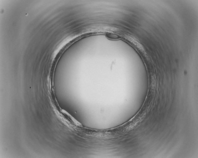 X0000059040936200511041633