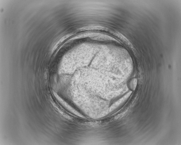 X0000059040937200511041633