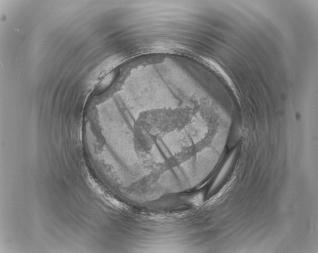 X0000059040938200511041633