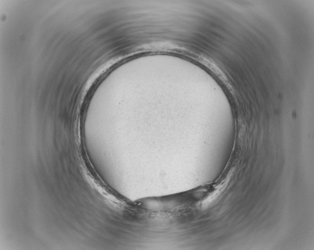 X0000059040939200511041633