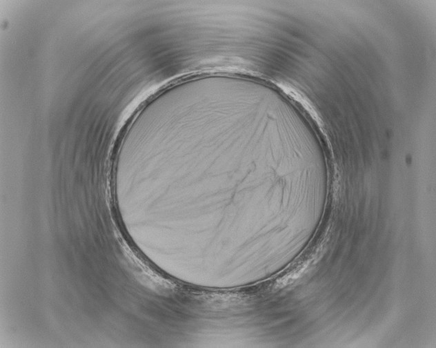 X0000059040941200511041633