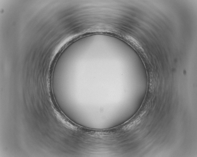 X0000059040942200511041633