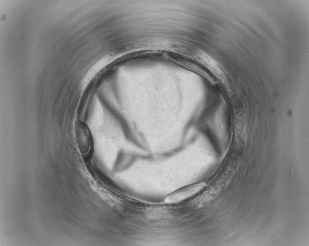 X0000059040944200511041633