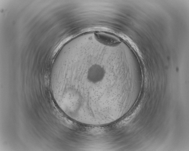 X0000059040945200511041633