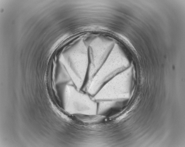 X0000059040946200511041633