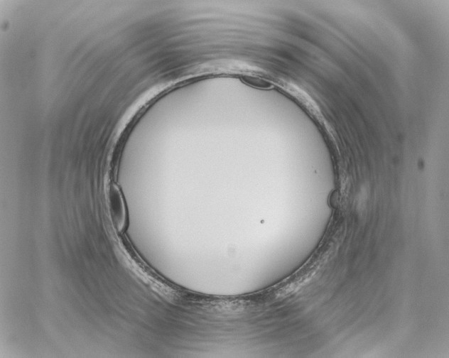 X0000059040947200511041633