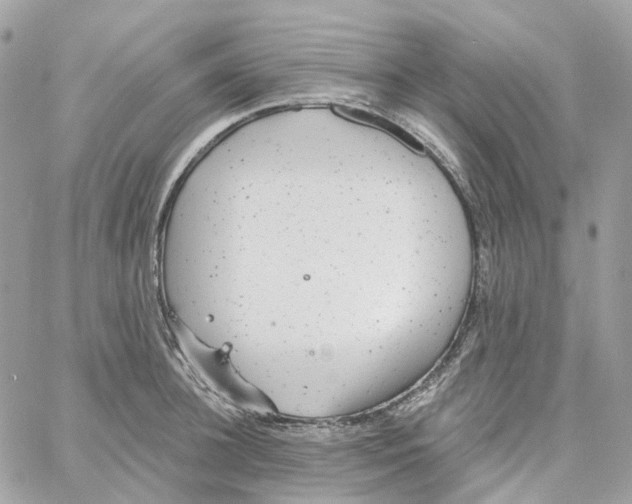 X0000059040948200511041633