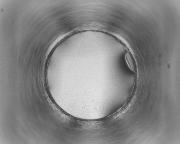 X0000059040949200511041633