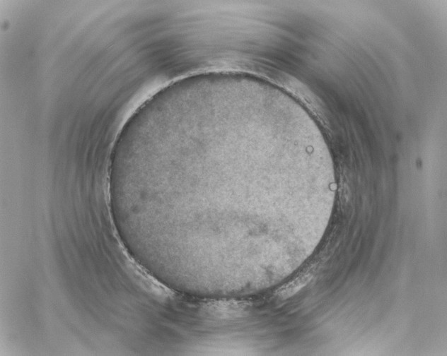 X0000059040950200511041633