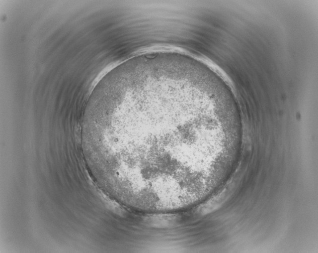 X0000059040953200511041633