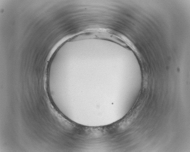 X0000059040955200511041633