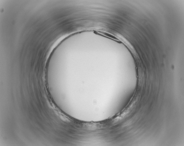 X0000059040956200511041633