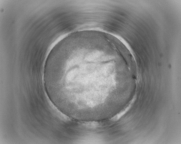 X0000059040957200511041633