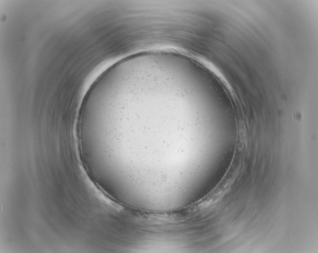 X0000059040959200511041633