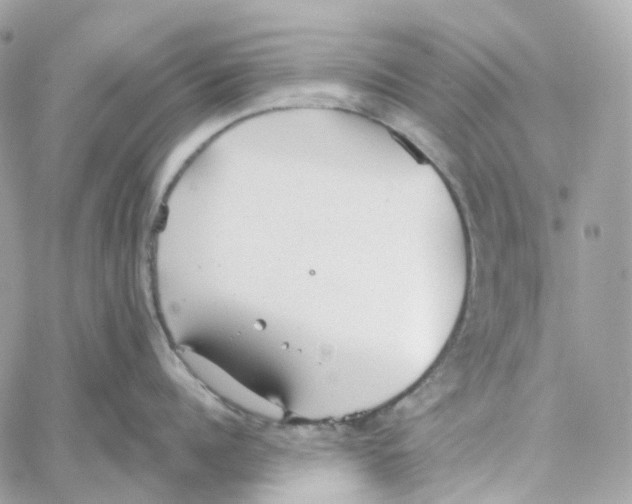 X0000059040960200511041633