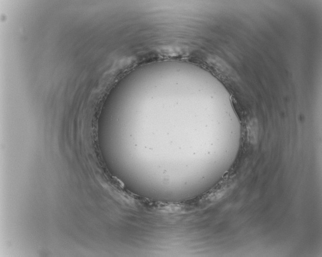 X0000059040961200511041632