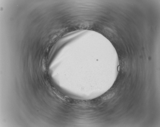 X0000059040962200511041632