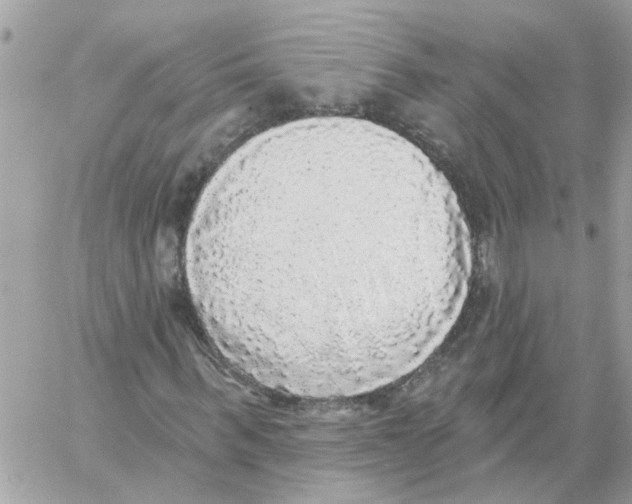 X0000059040963200511041632