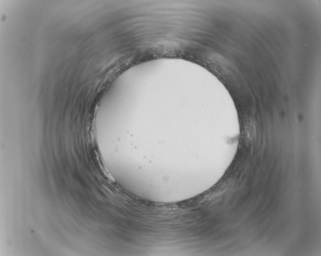 X0000059040964200511041632