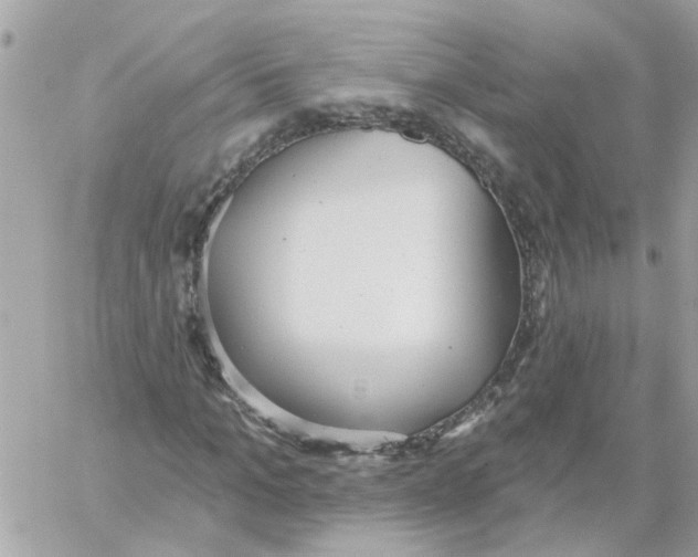 X0000059040965200511041632