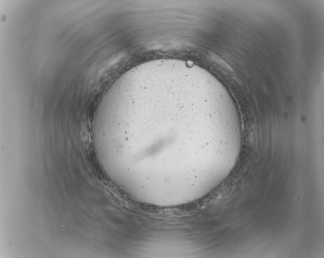 X0000059040966200511041632