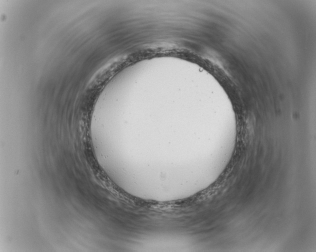 X0000059040967200511041632