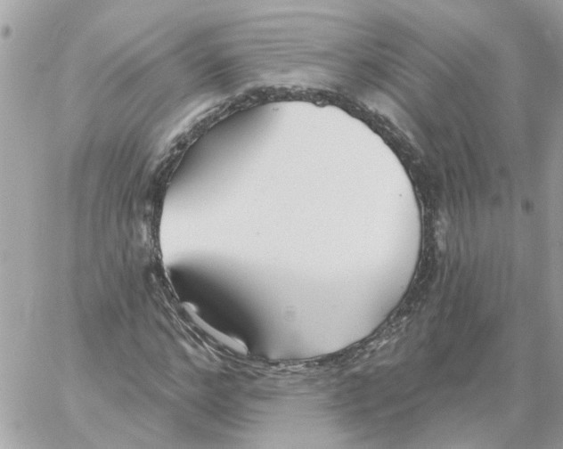 X0000059040968200511041632