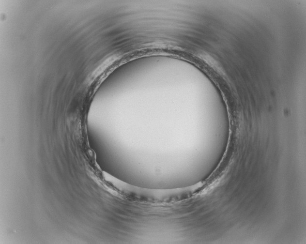 X0000059040969200511041632