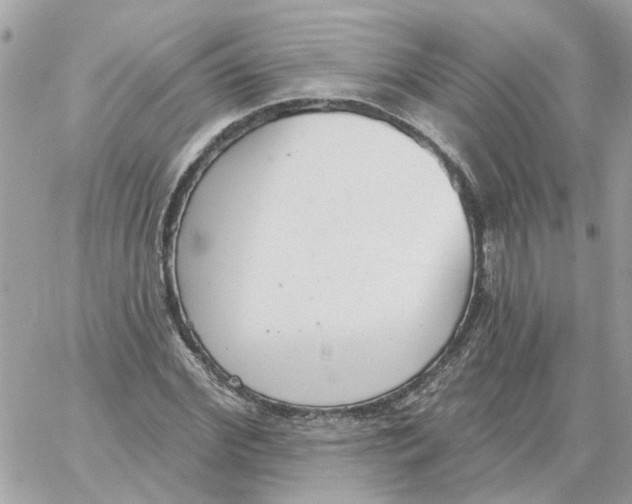 X0000059040972200511041632