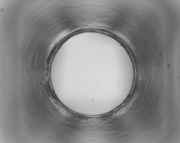 X0000059040974200511041632