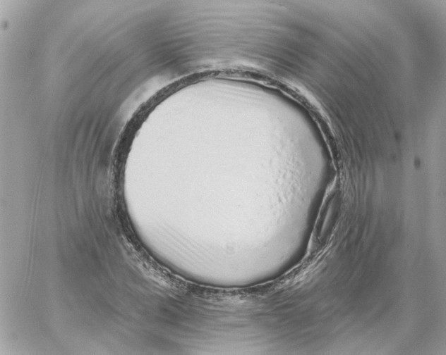 X0000059040975200511041632