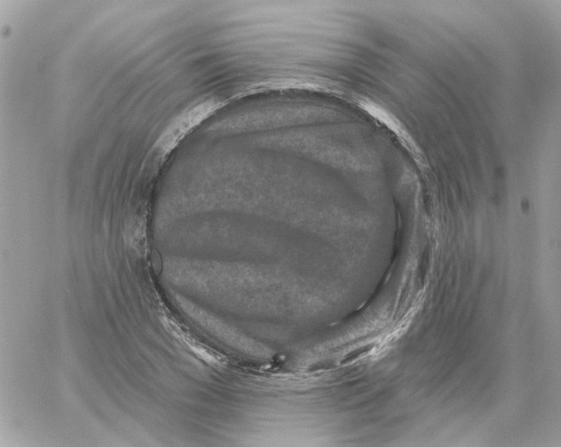 X0000059040977200511041632