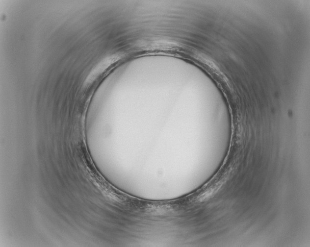 X0000059040978200511041632