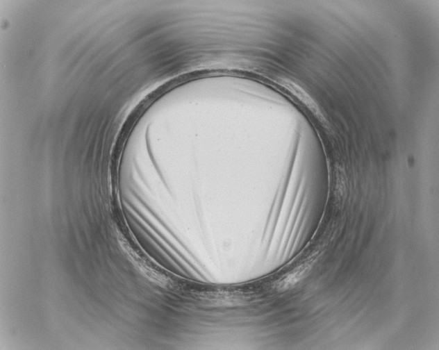 X0000059040980200511041632