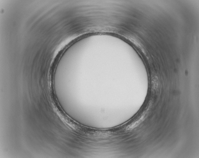 X0000059040981200511041632