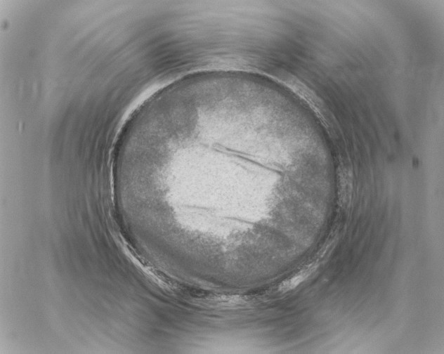 X0000059040982200511041632