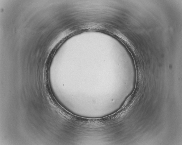 X0000059040983200511041632