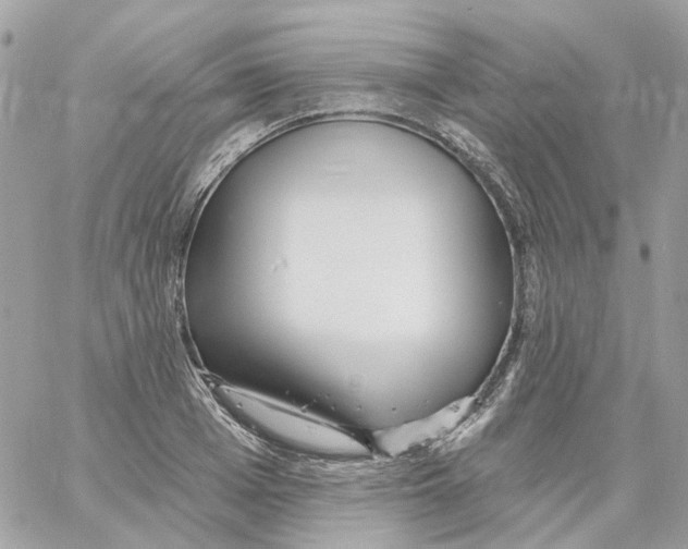 X0000059040985200511041632