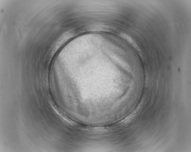 X0000059040986200511041632