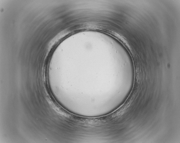 X0000059040987200511041632